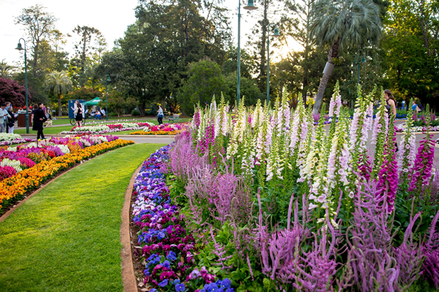 Toowoomba Carnival of Flowers